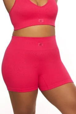 High Waist Mini Shorts In Hot Pink -Core Fit Shop BT0041 4 Pink High Waist Plus Size Kiker Shorts