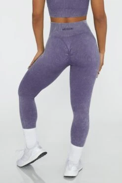 High Waisted Leggings In Violet -Core Fit Shop BT0416 6 Sprinter Violet High Waisted Leggings 9447a0cd bf8b 4825 bd8a a2c26821088f