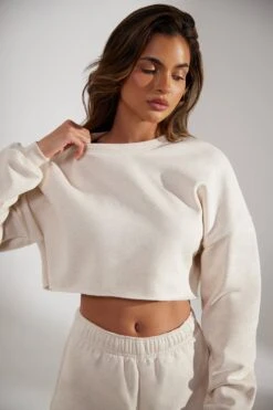 Cropped Oversized Sweatshirt In Heather Oat -Core Fit Shop BT0509 5 Fundamental Oat Cropped Crew Neck Sweatshirt