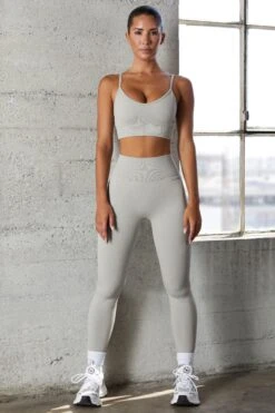 Seamless Full Length Leggings In Grey 13 Seamless Full Length Leggings In Grey -Core Fit Shop BT0572 5 Vitality Grey Sports Leggings ca09c9ee 1a03 40de b4ab 291ba15cfac6