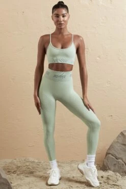 Seamless High Waist Leggings In Sage -Core Fit Shop BT0610 BT0591 1 Aqua Crop Top Leggings 9499b51e 75dd 4278 b893 fd258e20cba8