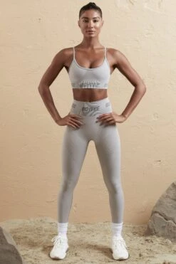 Seamless High Waist Leggings In Silver -Core Fit Shop BT0610 BT0591 1 Silver sports bra leggings 46390016 a523 4a88 b5cd 5453a3fc06e4