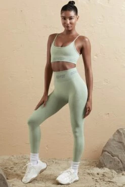 Seamless High Waist Leggings In Sage