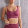 Asymmetric Sports Bra In Dark Rose