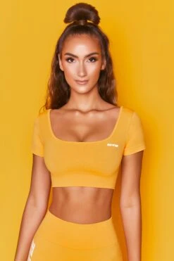 Elevate Seamless Short Sleeve Crop Top In Orange -Core Fit Shop bt0022 bt0025 2 orange short cap sleeve cycling shorts two piece set gym workout wear 3 a59fb3e3 62ed 4a45 b645 dfcb100d6bb5