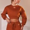 Ribbed Mini Shorts In Light Brown 2 Ribbed Mini Shorts In Light Brown -Core Fit Shop bt0039 bt0038 1 loosen up at ease light brown ribbed crop top sweatshirt drawstring shorts sports gym wear athleisure two piece set