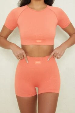 Seamless High Waisted Shorts In Terracotta -Core Fit Shop bt0153 2 confidence terracotta seamless shorts