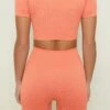 Seamless High Waisted Shorts In Terracotta -Core Fit Shop bt0153 4 confidence terracotta seamless shorts