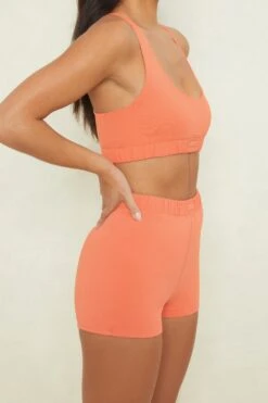 High Waisted Mini Shorts In Terracotta -Core Fit Shop bt0227 4 wind down terracotta short 3