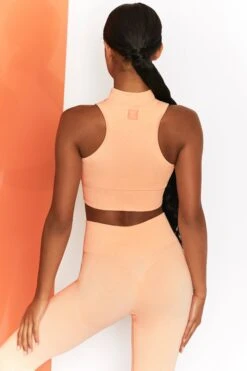 Miles Ahead Ribbed High Neck Crop Top In Peach -Core Fit Shop bt0305 bt0302 6 energise peach ribbed drawstring workout joggers mile ahead ribbed work out crop top 2