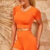 Seamless High Waist Mini Shorts In Deep Orange 1 Seamless High Waist Mini Shorts In Deep Orange -Core Fit Shop bt0323 bt0339 2 turn it up altitude deep orange short sleeve crop top hot pant shorts set