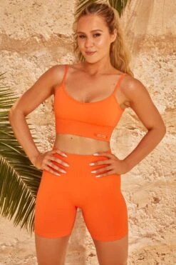 Seamless Ribbed Biker Shorts In Deep Orange -Core Fit Shop bt0340 bt0322 1 amplify deep orange crop top bicycle shorts 1 1