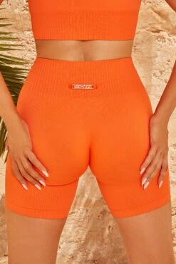 Seamless Ribbed Biker Shorts In Deep Orange -Core Fit Shop bt0340 bt0322 7 amplify deep orange crop top bicycle shorts 2