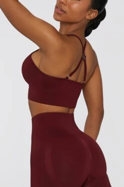 Crop Top In Deep Red -Core Fit Shop bt0376 bt0385 1 burgundy high neckline cross back crop top biker shorts sportsweart