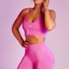Seamless High Waist Biker Shorts In Pink -Core Fit Shop bt0383 bt0385 3 pink high strap crop top biker short sportswear