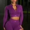 Long Sleeve Crop Top In Dark Purple -Core Fit Shop bt0409 bt0412 1 reach for it deep purple zip crop top take action mini shorts